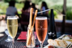 扑出点球,足球界最神奇的瞬间世界杯扑出点球