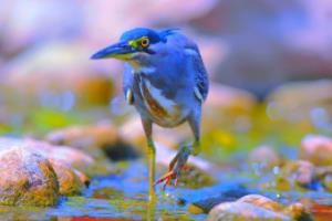 第一届世界杯，1930年法国足球盛事第一届世界杯是什么时候举办的