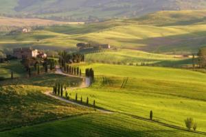 2022年卡塔尔世界杯足球第三名,这些球队让人眼前一亮世界杯足球第三